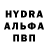 Галлюциногенные грибы Psilocybe hamyyt