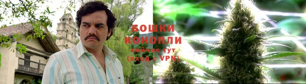 MDMA Premium VHQ Новозыбков