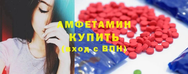 шишки Няндома