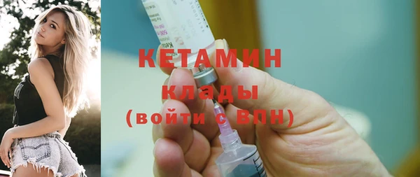 шишки Няндома