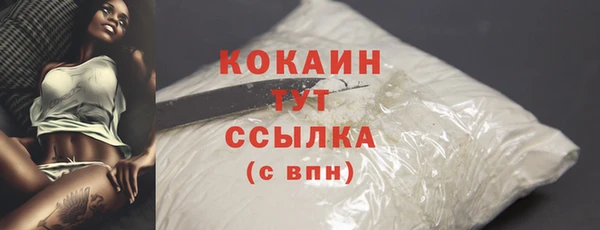 метадон Новодвинск