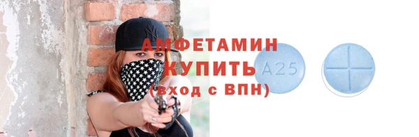 шишки Няндома