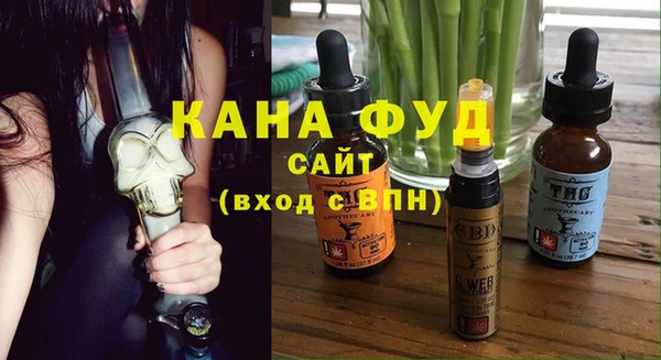 шишки Няндома