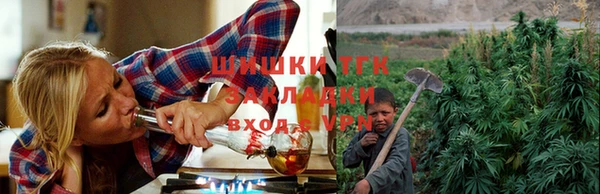 гидра Новокубанск