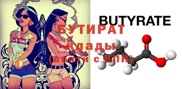 шишки Няндома